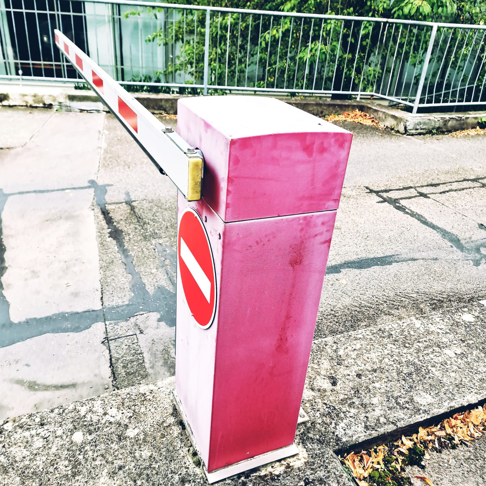 WhatsApp Image 2024-04-01 at 03.20.24 (1)