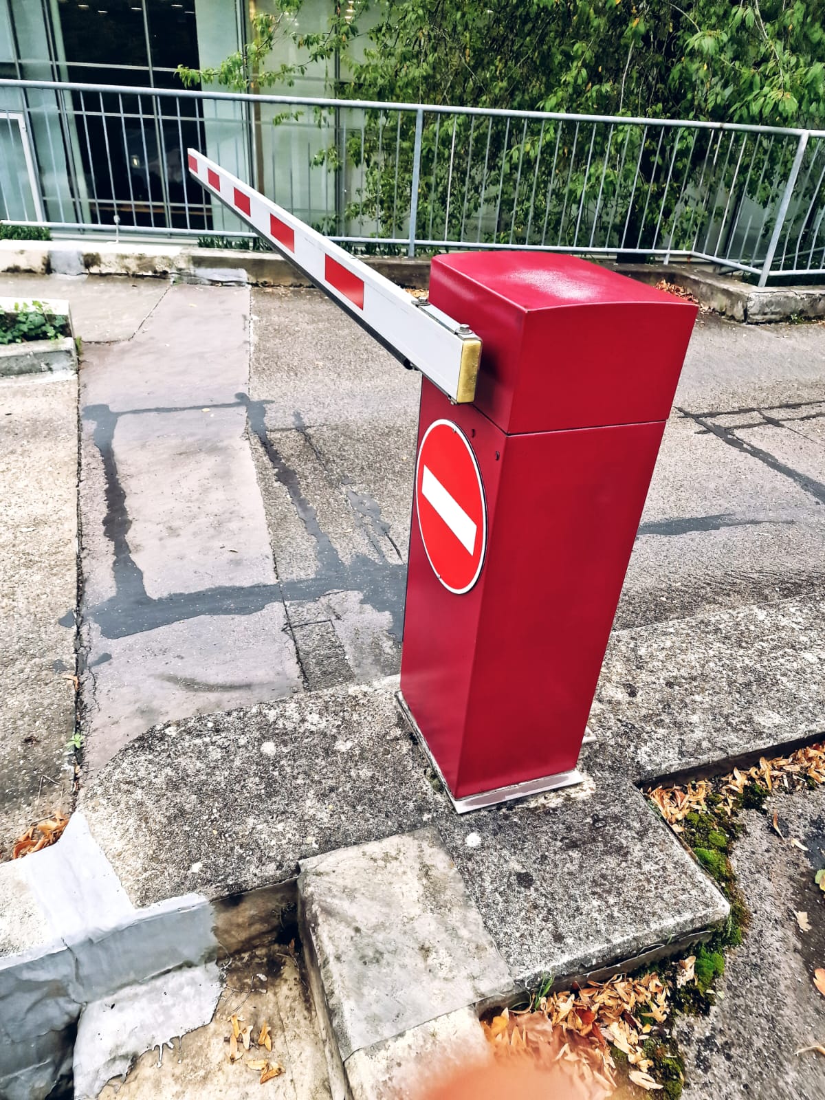 WhatsApp Image 2024-04-01 at 03.20.24